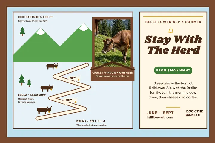 Bellflower Alp cow parade farm stay template