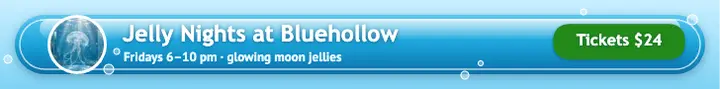 Bluehollow Aquarium jelly nights leaderboard template