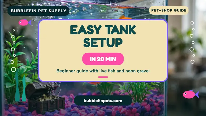 Bubblefin easy tank setup thumbnail template