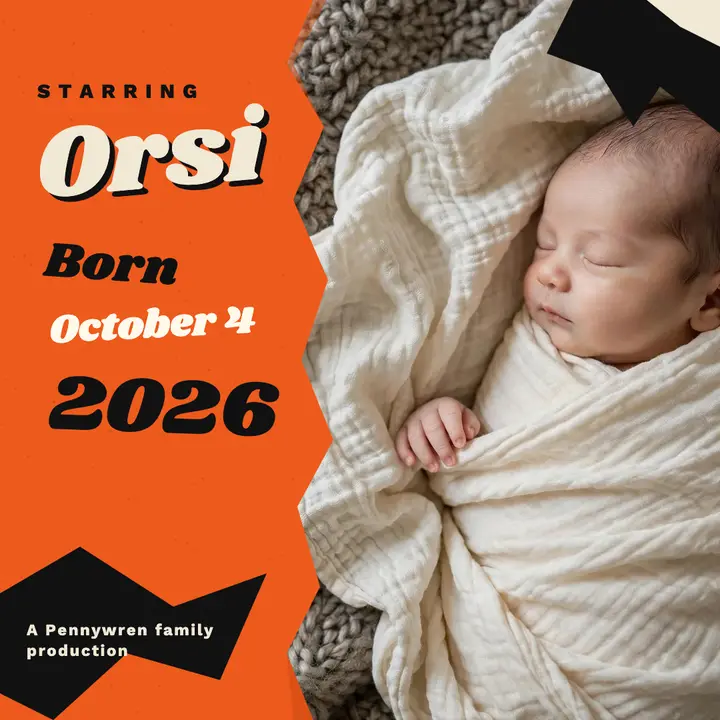 Orsi birth announcement title card template