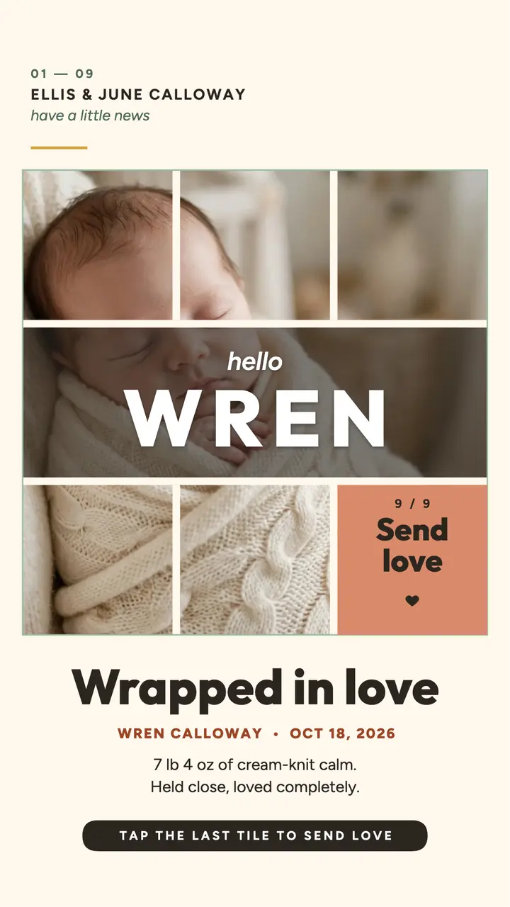 Wren baby reveal grid story template