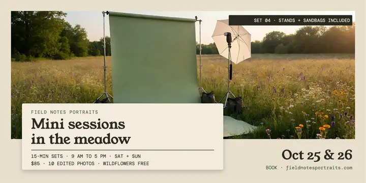 Field Notes mini sessions in the meadow template