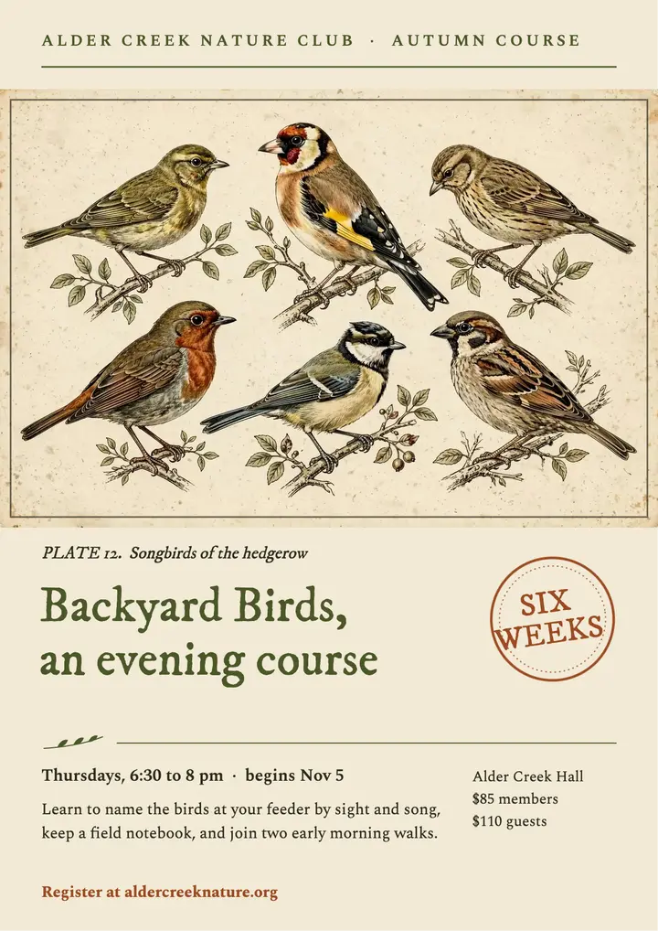 Alder Creek backyard birds course flyer template