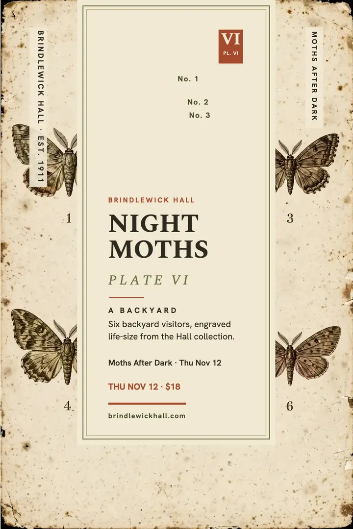 Backyard moth field guide poster template