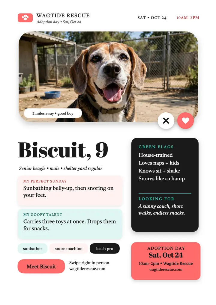 Biscuit senior beagle adoption profile flyer template