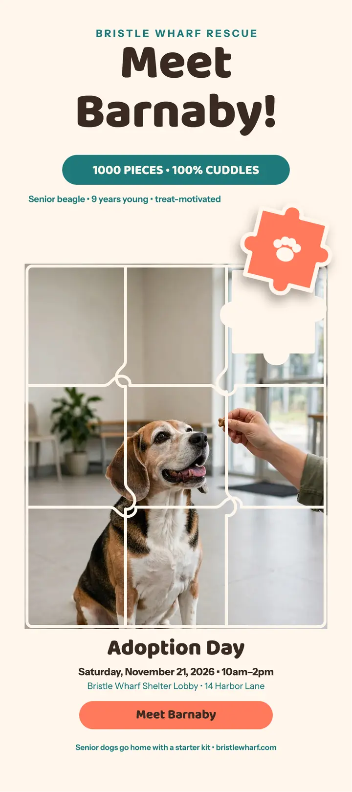Barnaby senior beagle adoption puzzle card template