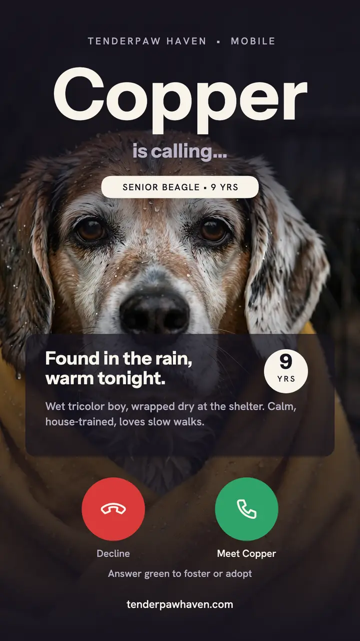 Copper the beagle is calling rescue story template