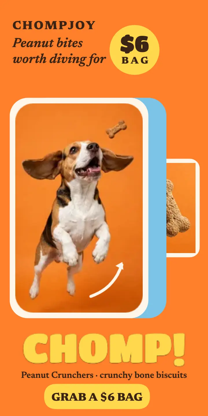 Chompjoy beagle treat catch half page ad: pet treat ad template