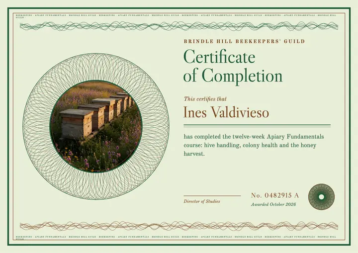 Beekeeping course certificate, banknote guilloche template