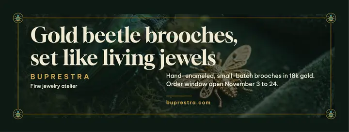 Gold beetle brooch jeweler Facebook cover template