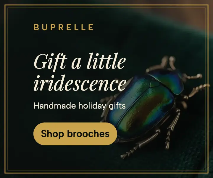 Buprelle beetle brooch holiday gift ad template