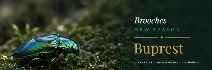 Scarabelle beetle brooch jewelry X header template