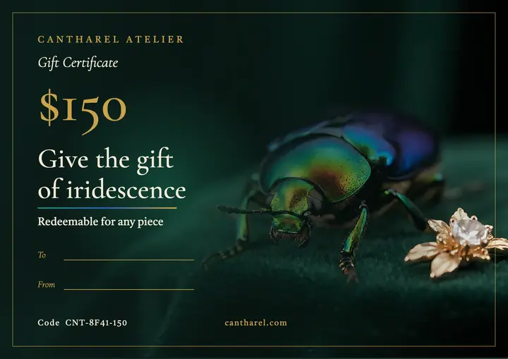 Beetle brooch jewelry gift certificate template