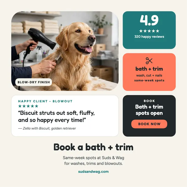 Suds and Wag bento groomer post template
