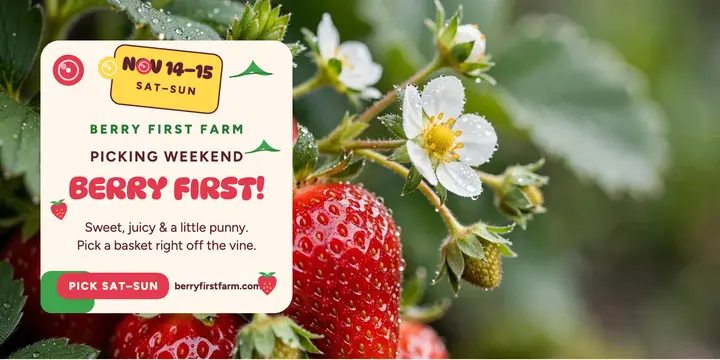 Berry First Farm picking weekend post template