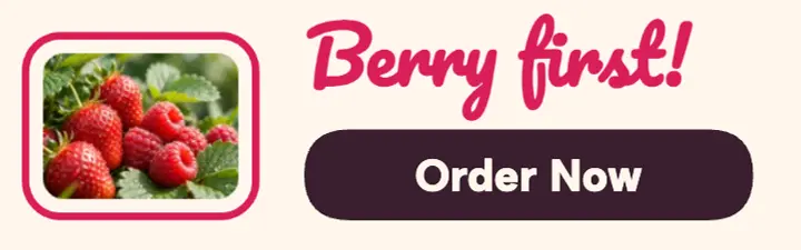 Berry First juice truck banner template