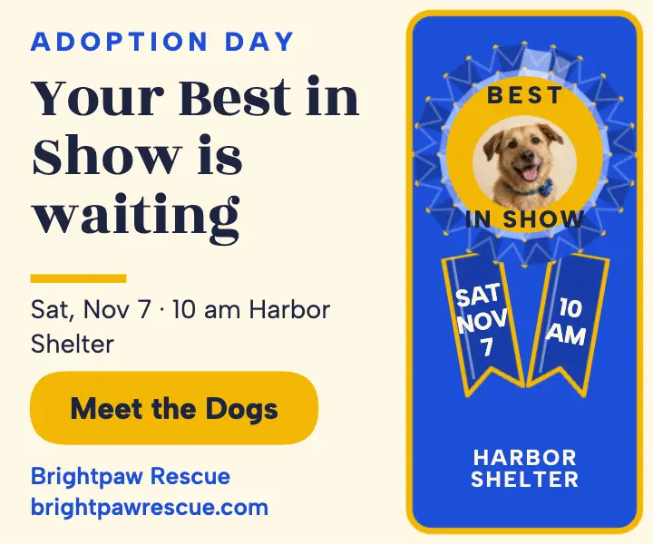Brightpaw Rescue adoption day rosette ad template