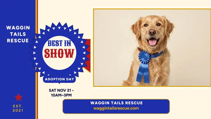 Waggin Tails Best in Show adoption thumbnail template