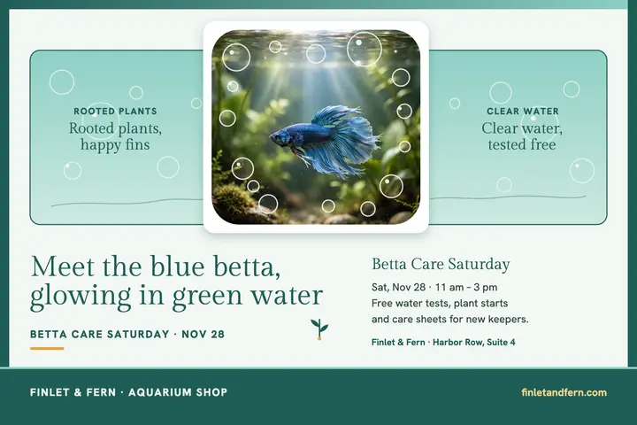 Finlet and Fern betta postcard template