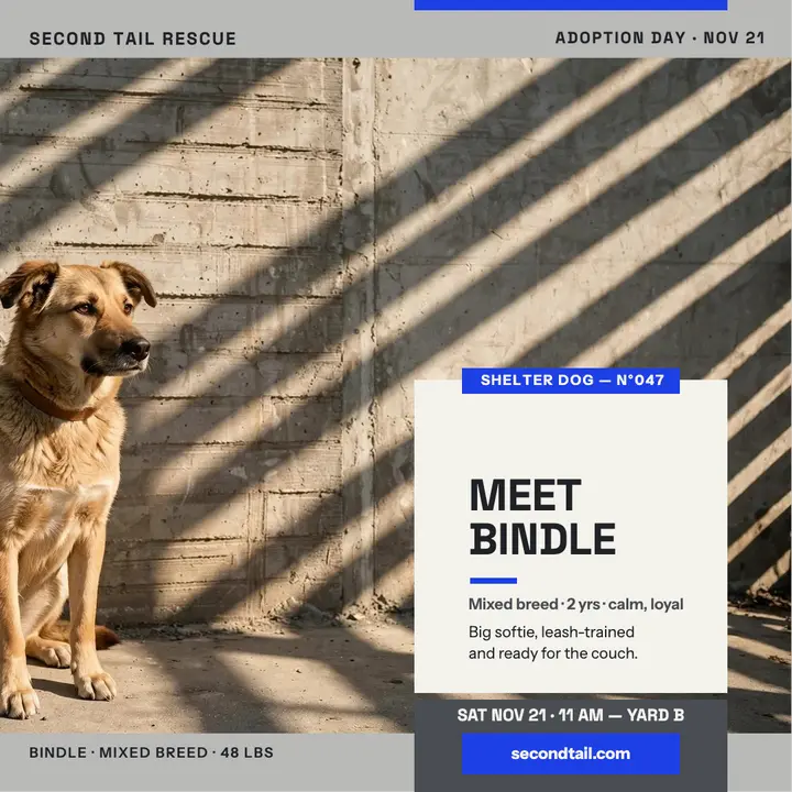 Second Tail Rescue adoption day post template