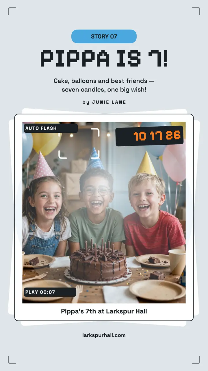 Pippa's birthday flash recap story template