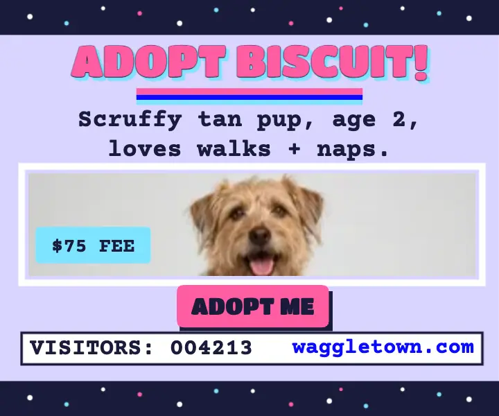 Biscuit shelter adoption 90s homepage ad template