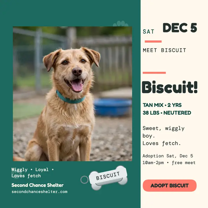 Biscuit adoption day card template