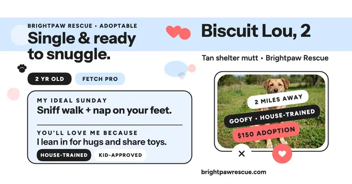 Biscuit Lou adoptable dog dating profile template