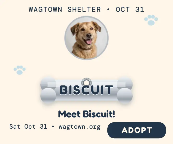 Biscuit bone tag adoption ad template