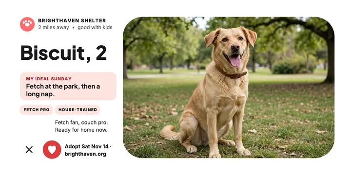 Biscuit shelter dog profile post template