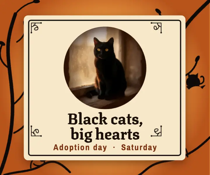 Black cat adoption day silhouette cut ad template