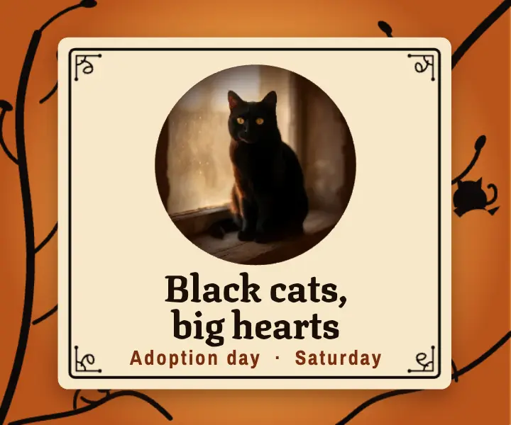Black cat adoption day silhouette cut ad template
