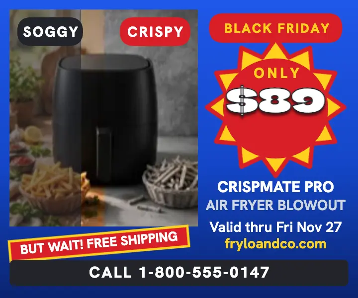 Frylo Black Friday air fryer TV ad template