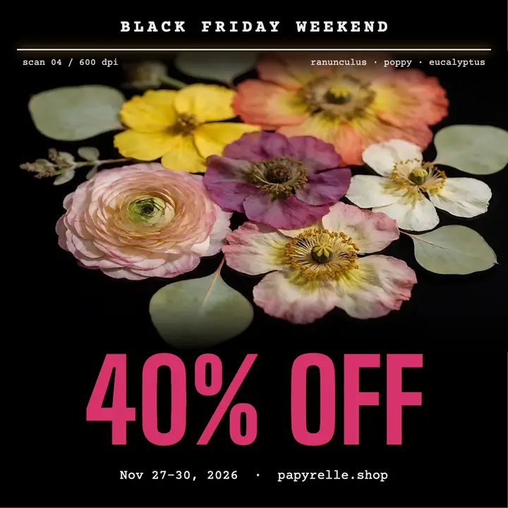Papyrelle dried flowers Black Friday post template