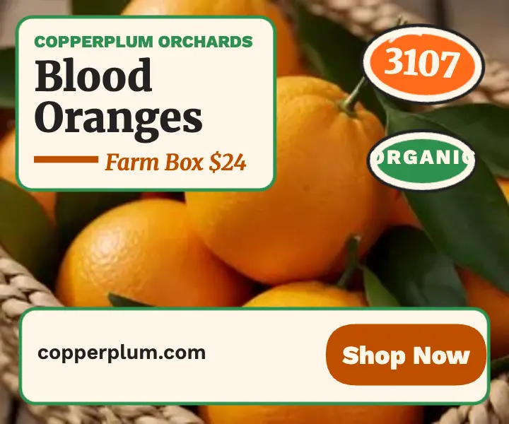 Copperplum blood orange box ad template