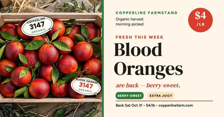 Copperline blood orange harvest post template