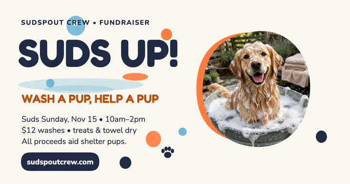 Sudspout Crew dog wash fundraiser post template