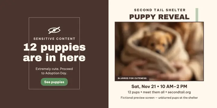 Blurred puppy reveal adoption day post template