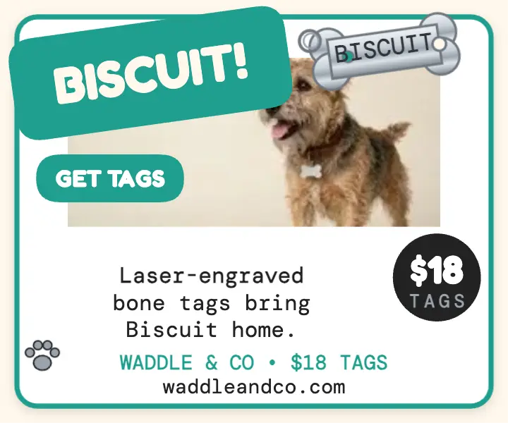 Waddle and Co bone tag groomer ad template