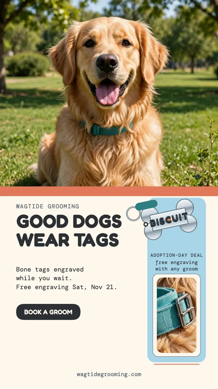 Wagtide bone tag grooming story template