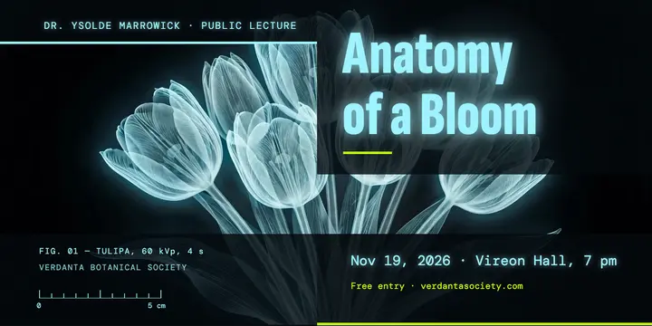 Anatomy of a Bloom botany lecture x-ray post template