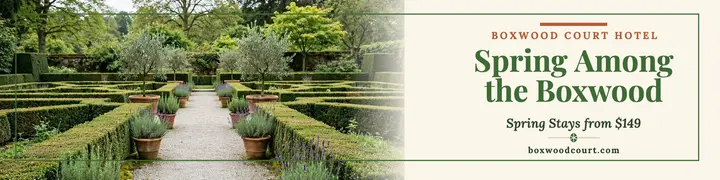 Boxwood Court Hotel spring stays banner: hotel linkedin banner template