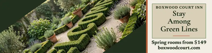Boxwood Court Inn garden stay banner: hotel linkedin banner template