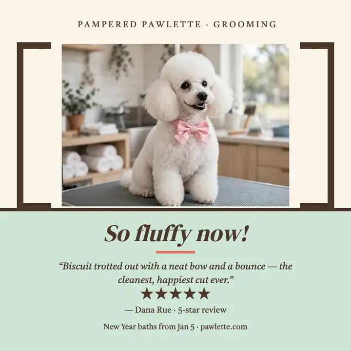 Pampered Pawlette poodle review post template