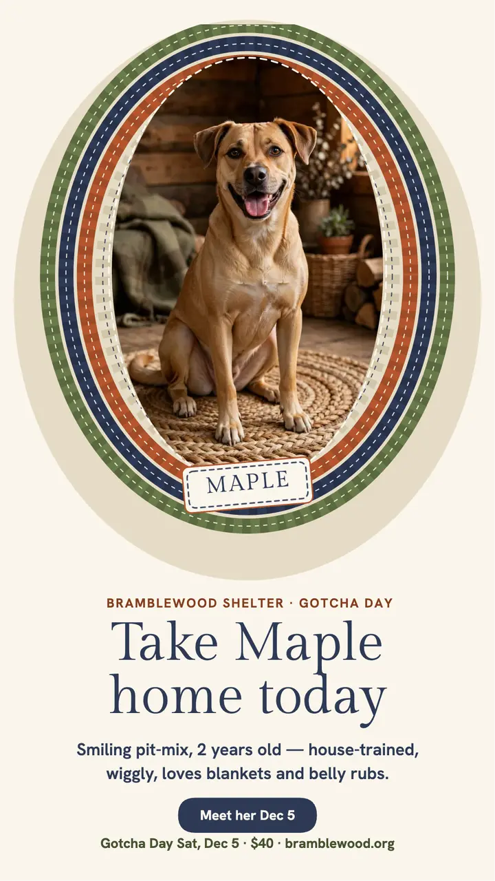 Maple pit-mix adoption story, braided rug template