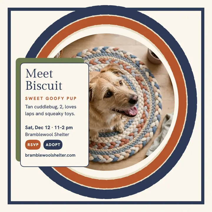 Biscuit shelter dog meet-and-greet rug post template