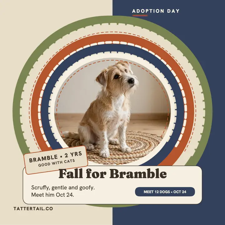 Bramble terrier adoption day rug post template