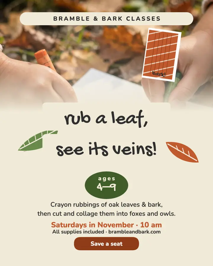 Bramble and Bark leaf rubbing class post: kids art class post template