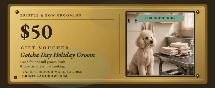 Bristle and Bow brass gift voucher template