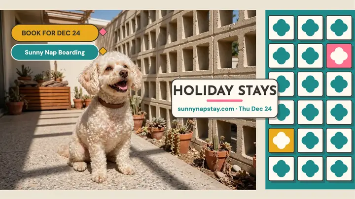 Sunny Nap holiday boarding thumbnail template